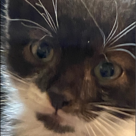 Meet your Posher, Dwana - Picture 3 of 16